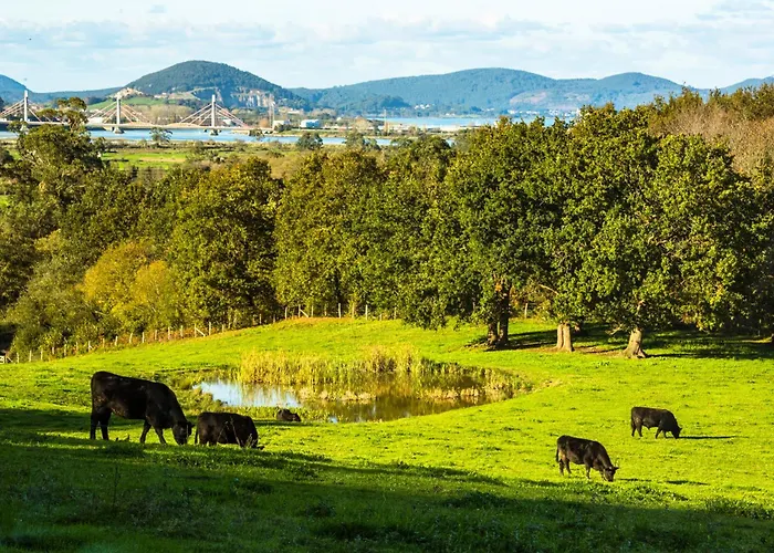 Отель Pico Velasco Carasa